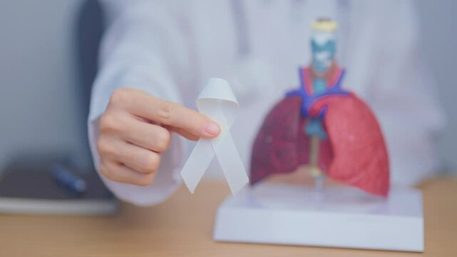 November Lung Cancer Awareness month. Doctor with Smoker Lung anatomy model and White ribbon in hospital. Healthcare and World Cancer day concept