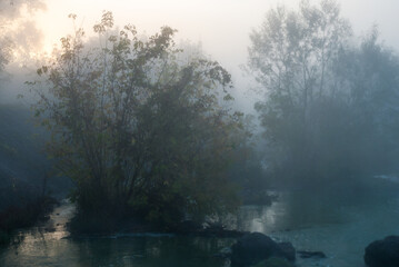 Fototapeta premium misty morning in the forest