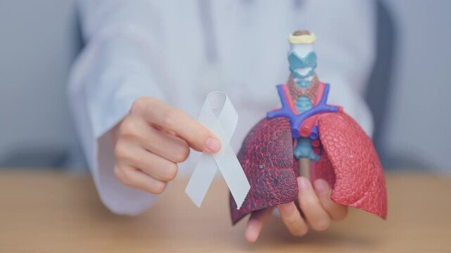 November Lung Cancer Awareness month. Doctor with Smoker Lung anatomy model and White ribbon in hospital. Healthcare and World Cancer day concept