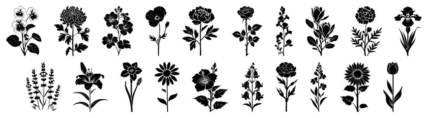 Flowers silhouette collection: Rose Tulip Daffodil Sunflower Daisy Lily Orchid Peony Hibiscus Marigold Violet Poppy Iris Chrysanthemum Carnation Lavender Bluebell Geranium Magnolia Snapdragon