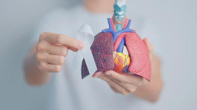 November Lung Cancer Awareness month. Doctor with Smoker Lung anatomy model and White ribbon in hospital. Healthcare and World Cancer day concept