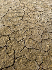Close-up of dry, cracked earth depicting the impact of drought and climate change on the environment.
