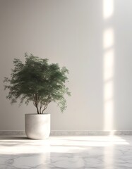 Fototapeta premium foliage floor tropical wall shadow blurred background white marble concept summer soft presentation natural beautiful jungle light minimalistic tropics window green background