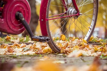 Ein rotes Fahrrad wurde unter herbstlichen Bäumen geparkt und steht mitten im gelben Laub.