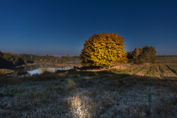 Jesienny poranek © Robert