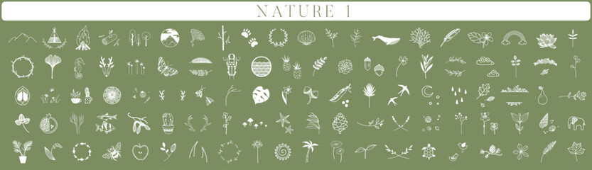 150 Handdrawn nature elements, Doodle illustrations, Animals, Botanical, Floral, Drawing, Illustration, Set, Collection