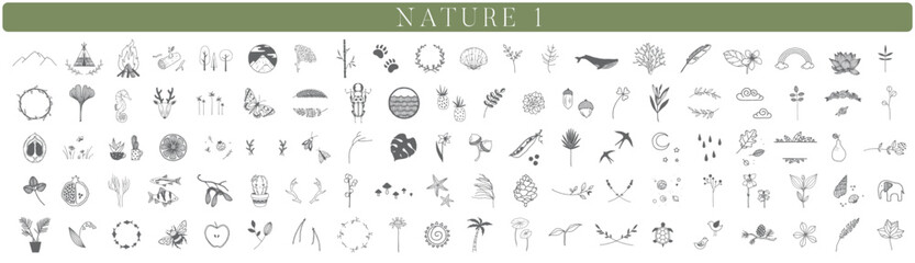 150 Handdrawn nature elements, Doodle illustrations, Animals, Botanical, Floral, Drawing, Illustration, Set, Collection