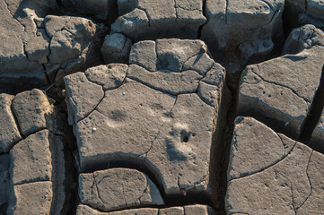 Cracked mud