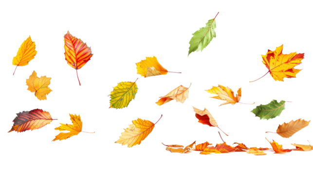 Vibrant autumn leaves falling through the air, creating a colorful and dynamic seasonal scene for autumn-themed projects.