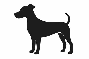 dog isolated on white