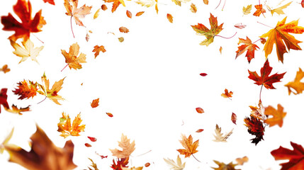 Autumn leaves on transparent background