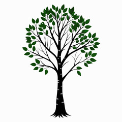 Obraz premium tree with leaves vector illustration 