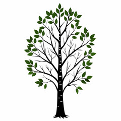 Fototapeta premium tree with leaves vector illustration 
