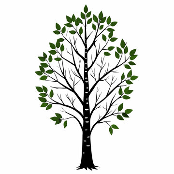 recommend clip art: tree with leaves vector illustration 