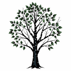 tree with leaves vector illustration 