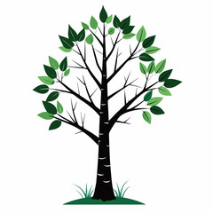 tree with leaves vector illustration 