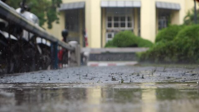 Relaxing video of falling rain .