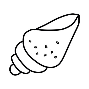 recommend clip art: Decorative shell drawn with black line in the doodle style isolated on white background. Marine element for decoration, stickers, crafts, wedding, coloring book. Vector outline Hand drawn illustration