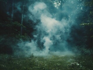 Mystical White Smoke Rises in Serene Forest Creating Atmospheric Nature Backdrop