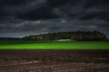 Chmury nad polem © Robert