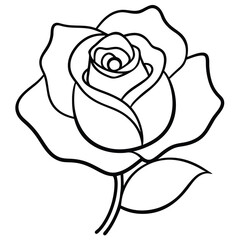 Rose flower silhouette with white background