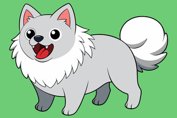 American Eskimo dog vector illustration 