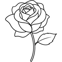 Rose flower silhouette with white background