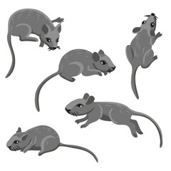 vector drawing mouses, cartoon animals isolated at white background, hand drawn illustration