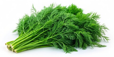 Fresh Green Dill Sprigs on White Background, dill, herb, garnish, cooking