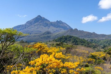 Fototapeta premium Stunning mountain landscape with vibrant yellow flowers and clear blue sky in spring.