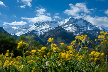 Majestic snow-capped mountains with vibrant yellow wildflowers under a bright blue sky