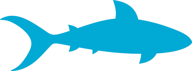 Shark Illustration
