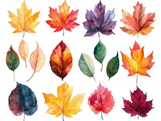 Fototapeta premium Autumnal Watercolor Leaf Assortment Showcasing Vibrant Fall Foliage Colors on Isolated White Background