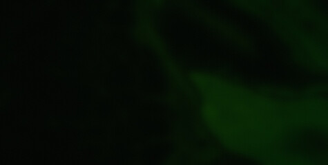 Whimsical and Energetic Colorburst Creating a Captivating and Abstract Visual Experience
