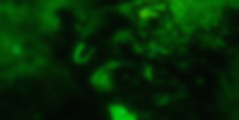 Whimsical and Energetic Colorburst Creating a Captivating and Abstract Visual Experience
