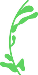 Plant Stem