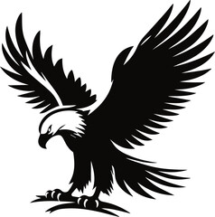 BLACK EAGLE VECTOR ILLUSTRATION