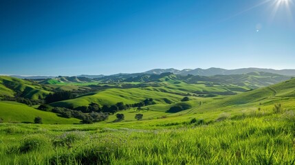 Obraz premium Stunning panoramic view of a lush green valley with rolling hills and a clear blue sky