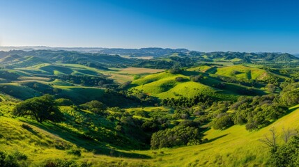 Obraz premium Stunning panoramic view of a lush green valley with rolling hills and a clear blue sky