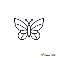 Butterfly icon vector illustration. Butterfly symbol isolated on white background