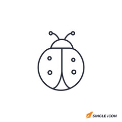 Ladybug icon vector illustration. Ladybug symbol isolated on white background