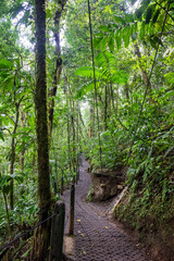 Arenal Volcano National Park, Costa Rica, Central America