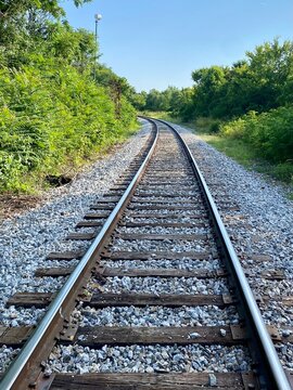 Empty railroad tracks through trees in the country