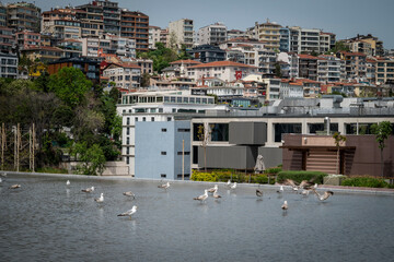 View of the the city from the roof of Istanbul Modern that features shallow water pool, Istanbul, Turkey