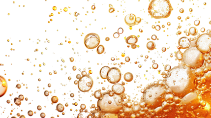 Beer bubbles on a transparent background