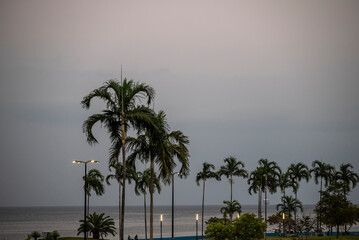 Obraz premium Part of Cinta Costera (Coastal Beltway), a 7 km public recreation area that runs along Panama Bay, Panama City, Panama, Central America