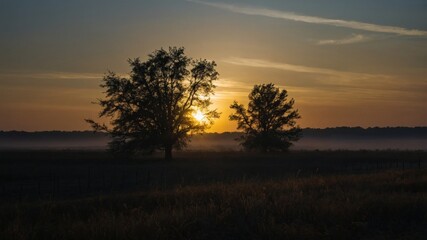 A serene sunrise over a misty field with silhouetted trees, capturing the beauty of nature in the early morning light.
