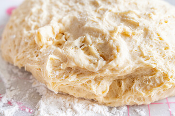 一次発酵　伸ばした生地