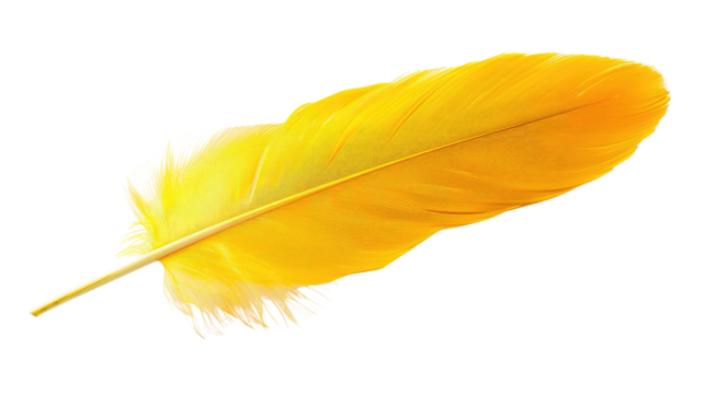 Yellow feather on transparent background
