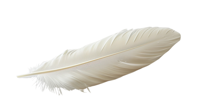 White feather on transparent background